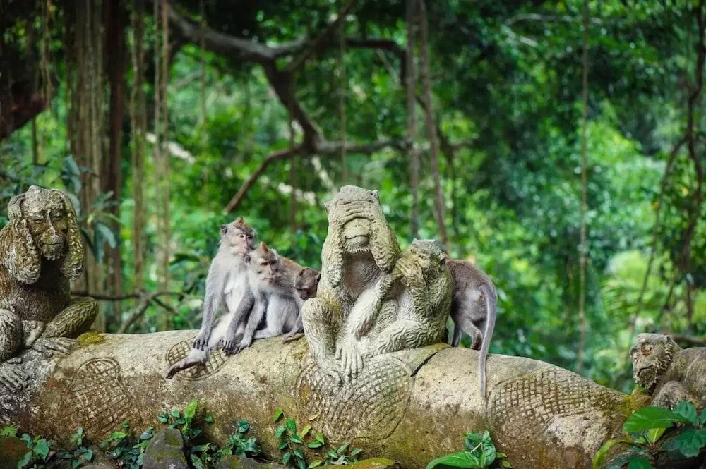 Puri Padi Otel Ubud Dış mekan fotoğraf