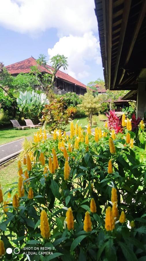 Puri Padi Otel Ubud Dış mekan fotoğraf